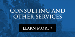 Consulting and Other Services