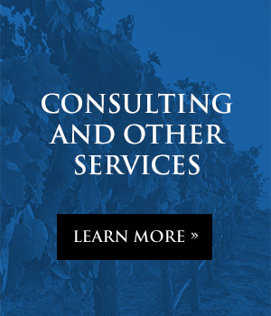 Consulting and Other Services